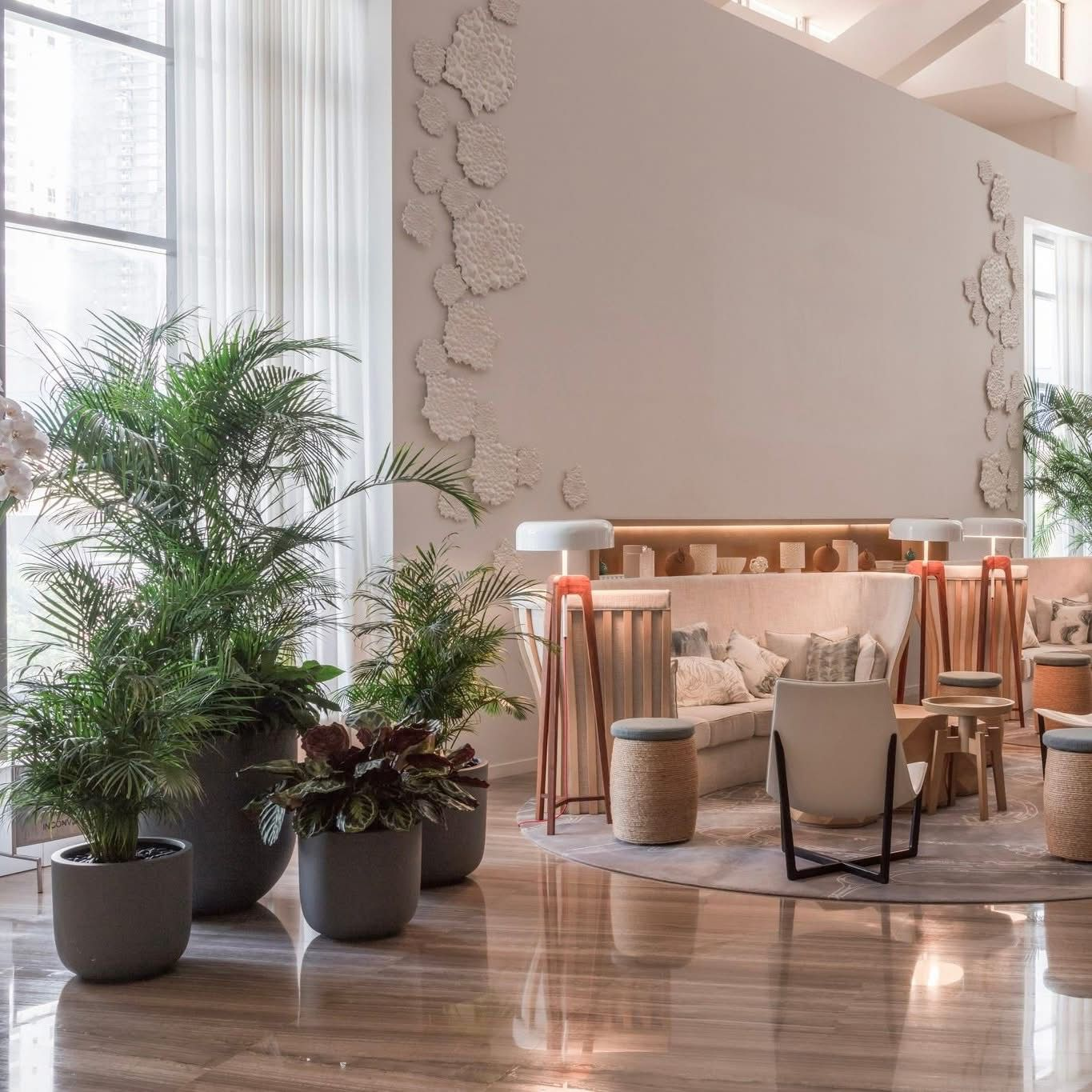 Indoor Plants